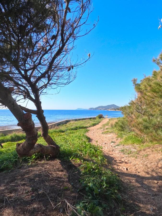 Appartement Hyeres - Costebelle Duplex Vue Mer Balcon Residence Privee Parking - Marie Caroline Exteriör bild